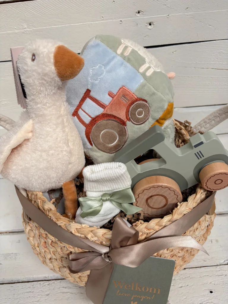 Baby cadeau - welkom lieve jongen