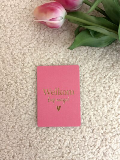 Cadeaukaartje - Welkom lief meisje