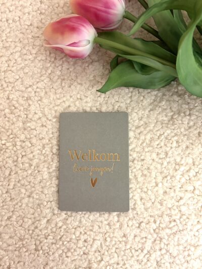 Cadeau kaartje - Welkom lieve jongen